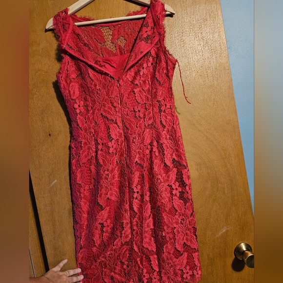 Pink Lace Dress - Picture 3 of 5